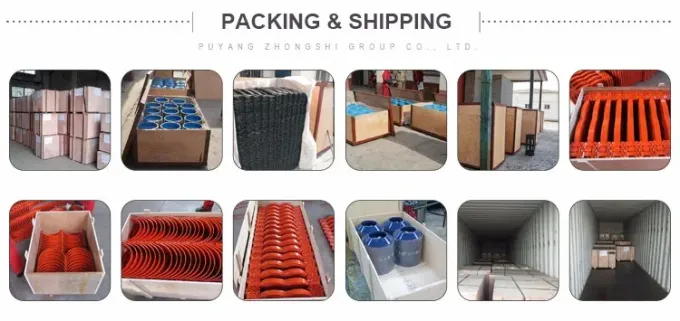 220 ولت / 380 ولت / 400 ولت / 415 ولت پمپ مرکزی افقی برای قطعات پمپ میدان نفت 5