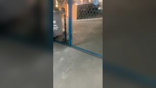 پیستون قطعات یدکی پمپ میله مکنده