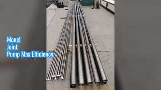 API 11AX Sucker Rod Pump Monel Joint Plunger